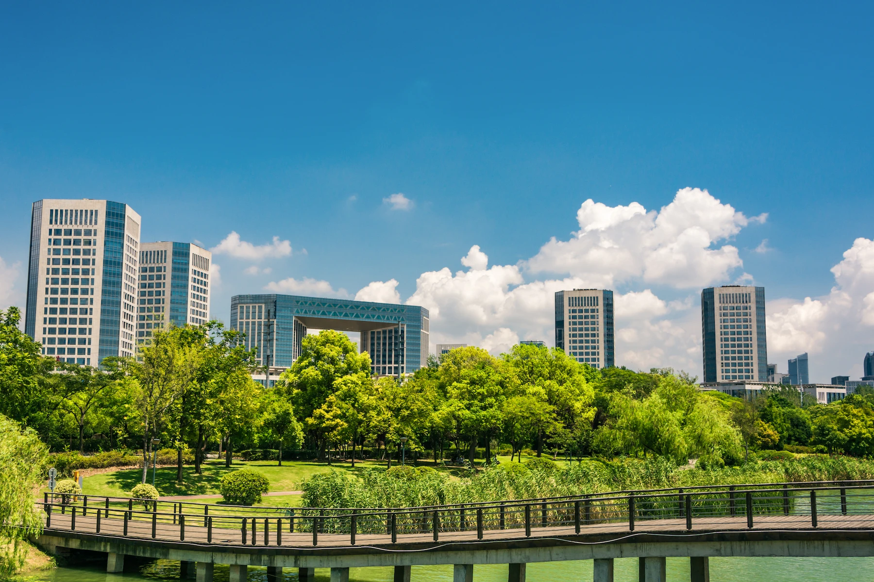 Premium Landscape Construction